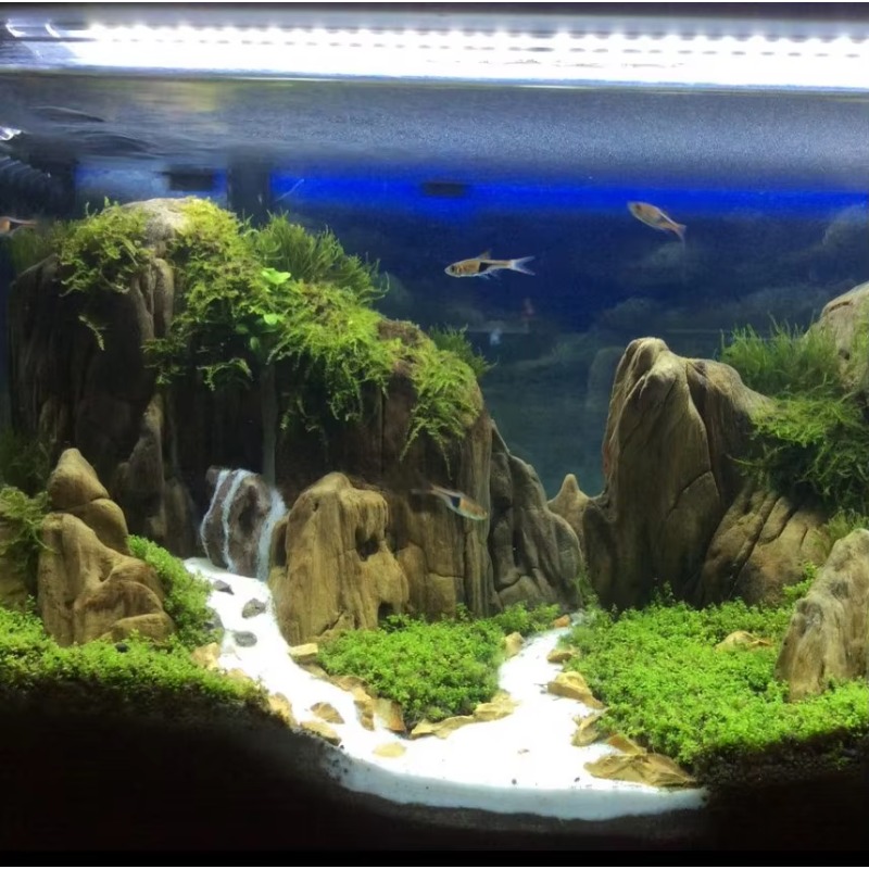 Professional Eco-Friendly Wood - Resin Art With Wood 评论和价格