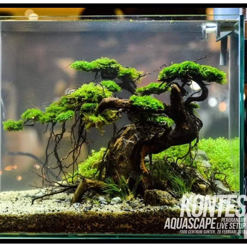 Professional Eco-Friendly Wood - Resin Art With Wood 评论和价格