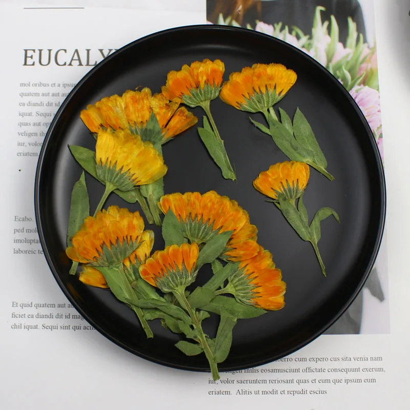60pcs 4-6cm Side Pressed Dried - Dried Flower Pressed 评论和价格