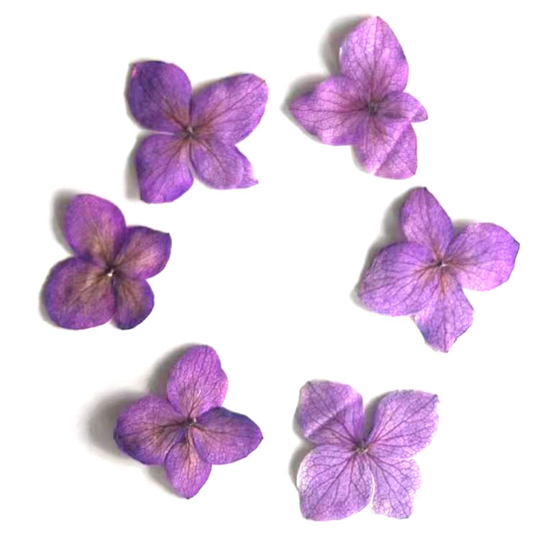 60Pcs Anna Hydrangea Color-Abs - Resin Art Bookmark 评论和价格