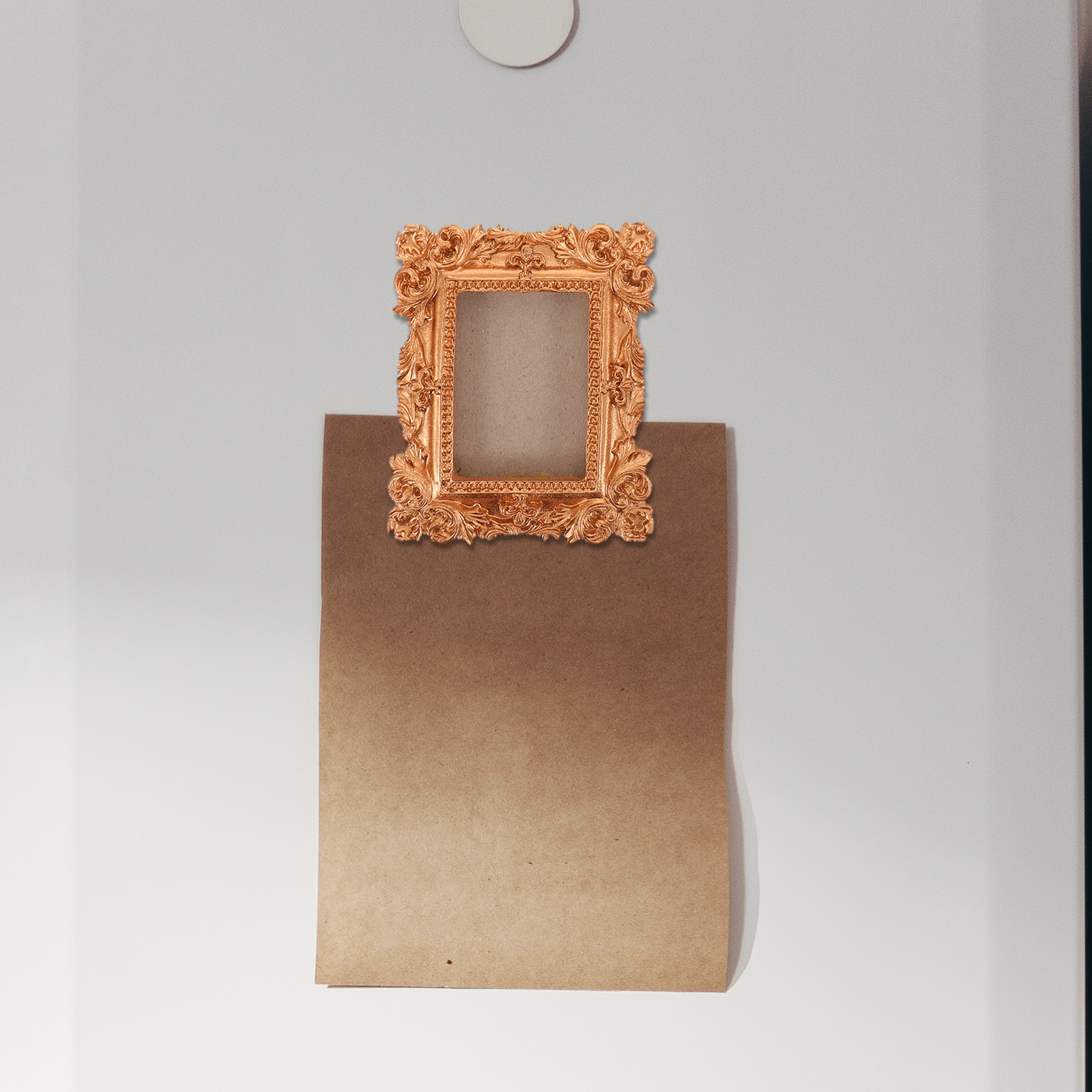 5Pcs Refrigerator Picture Fram - Dried Flower Pressed 评论和价格