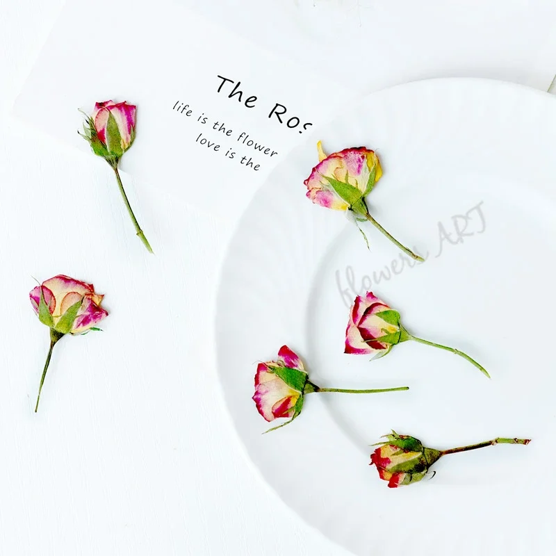 Pressed Rose Bud Flower Petals - Dried Flower Pressed 评论和价格