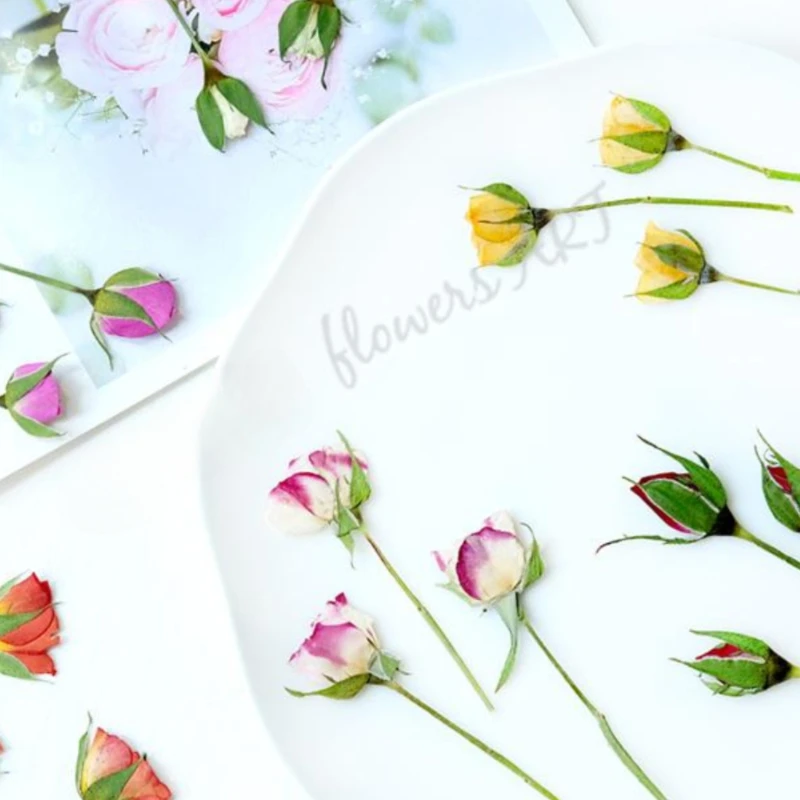 Pressed Rose Bud Flower Petals - Dried Flower Pressed 评论和价格