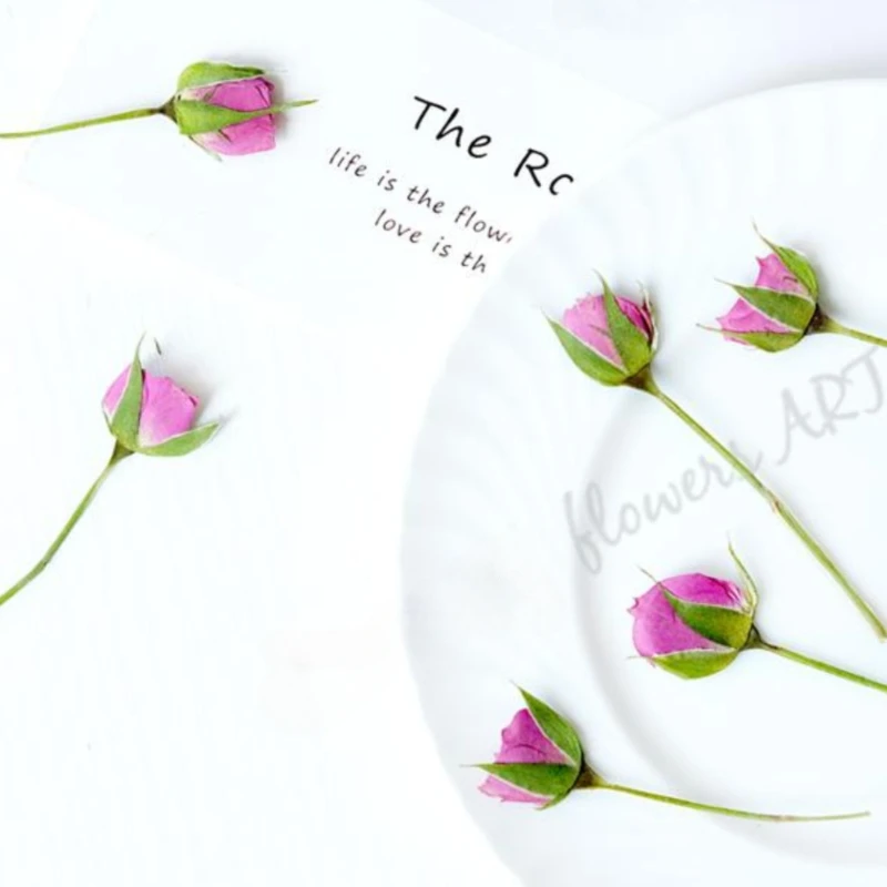 Pressed Rose Bud Flower Petals - Dried Flower Pressed 评论和价格