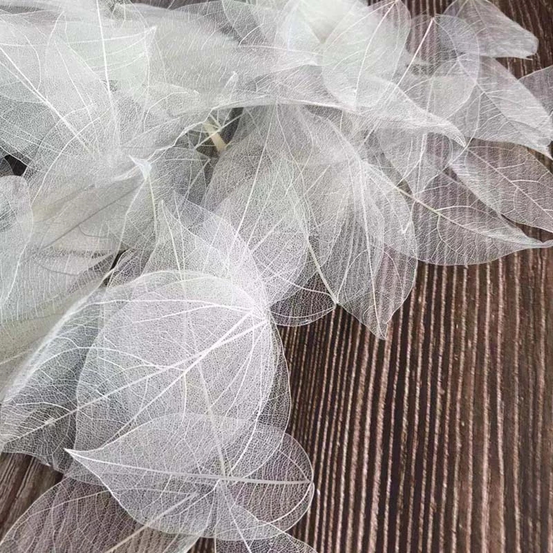 5~9CM*2~3.5CM,100PCS/Set,Real  - Dried Flower Pressed 评论和价格