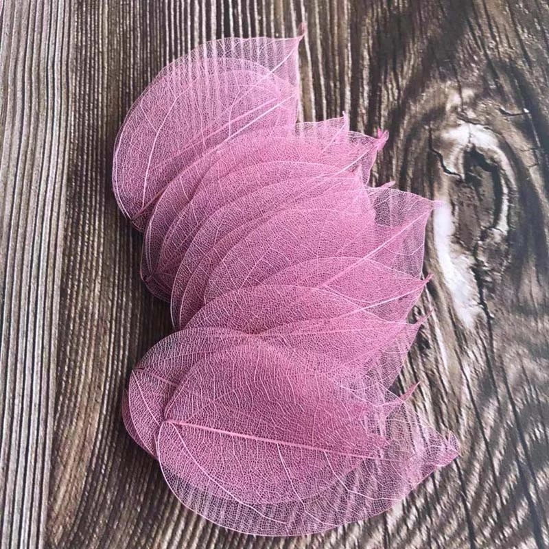 5~9CM*2~3.5CM,100PCS/Set,Real  - Dried Flower Pressed 评论和价格