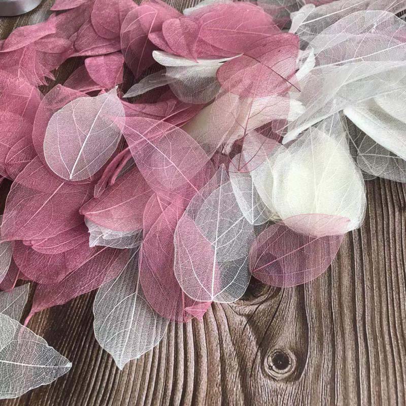 5~9CM*2~3.5CM,100PCS/Set,Real  - Dried Flower Pressed 评论和价格