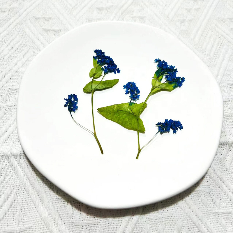 1Set Natural Dried Fagopyrum F - Resin Art Bookmark 评论和价格