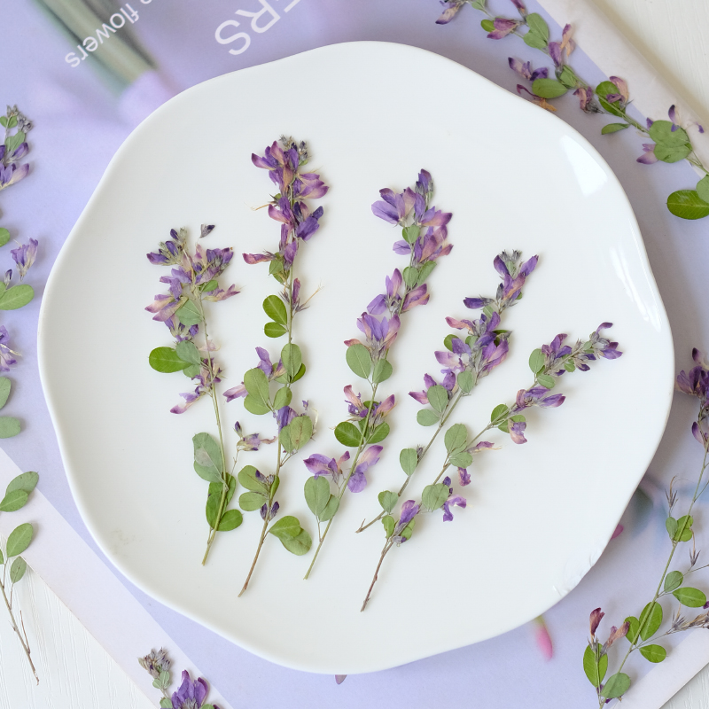 6pcs,nature Lespedeza Formosa  - Dried Flower Pressed 评论和价格