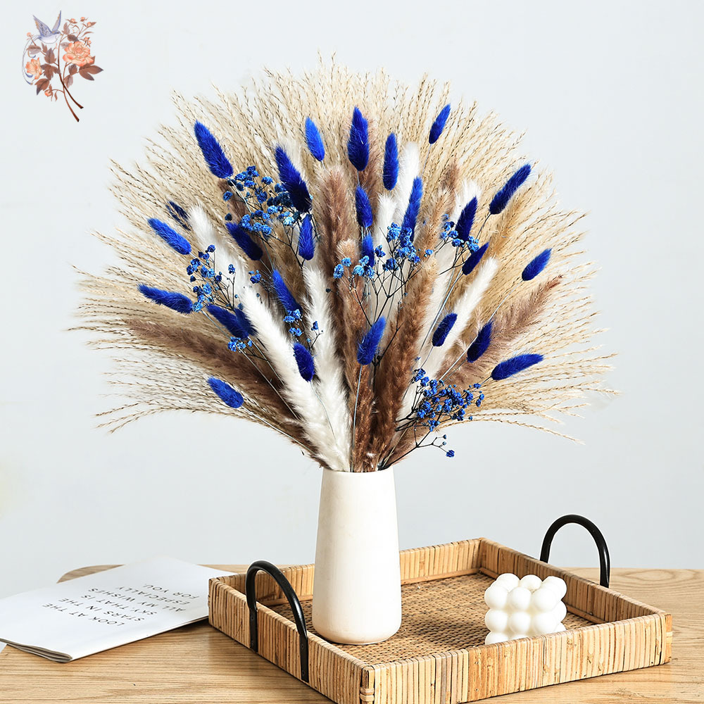 70 Stem Blue Fluffly Rabbit Ta - Dried Flower Pressed 评论和价格