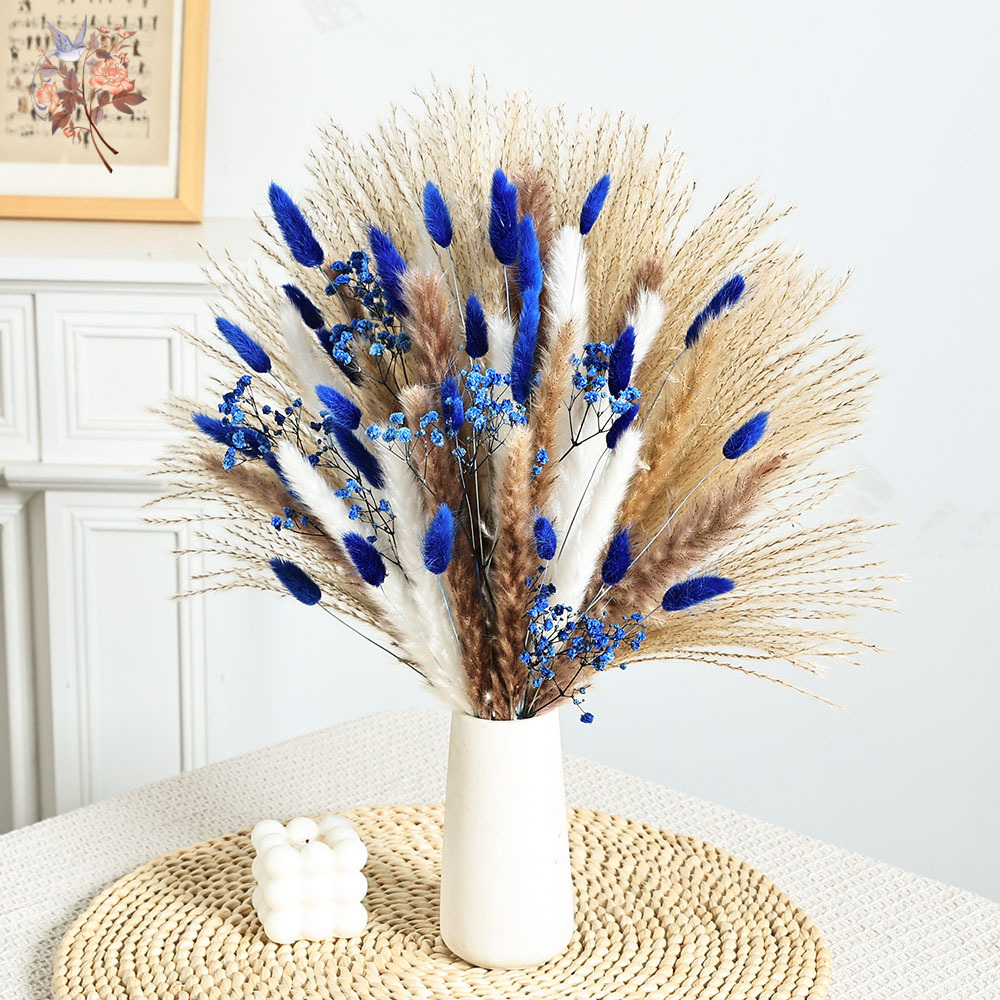 70 Stem Blue Fluffly Rabbit Ta - Dried Flower Pressed 评论和价格