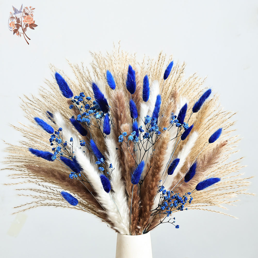 70 Stem Blue Fluffly Rabbit Ta - Dried Flower Pressed 评论和价格