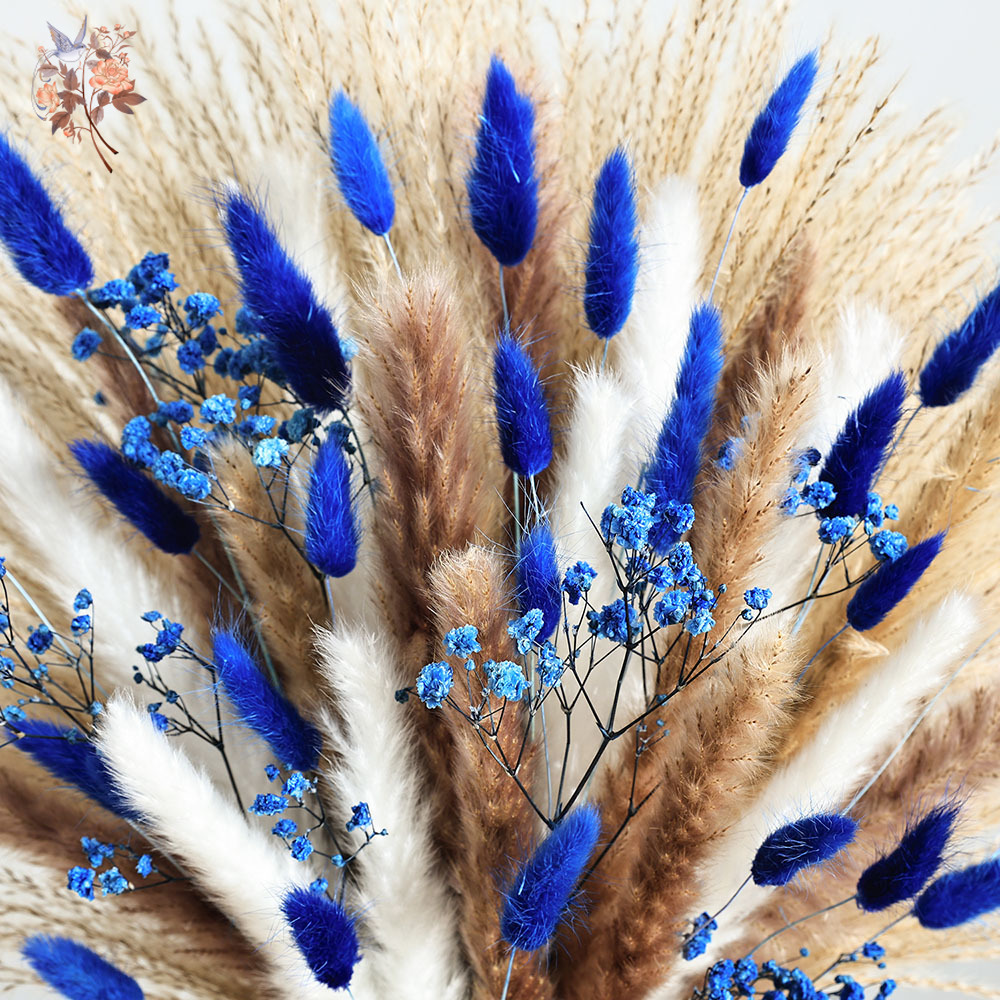 70 Stem Blue Fluffly Rabbit Ta - Dried Flower Pressed 评论和价格