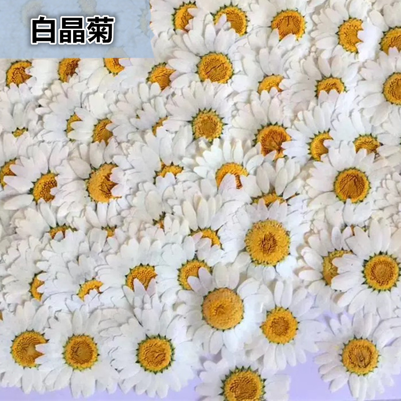 100Pcs Natural White Crystal C - Dried Flower Pressed 评论和价格