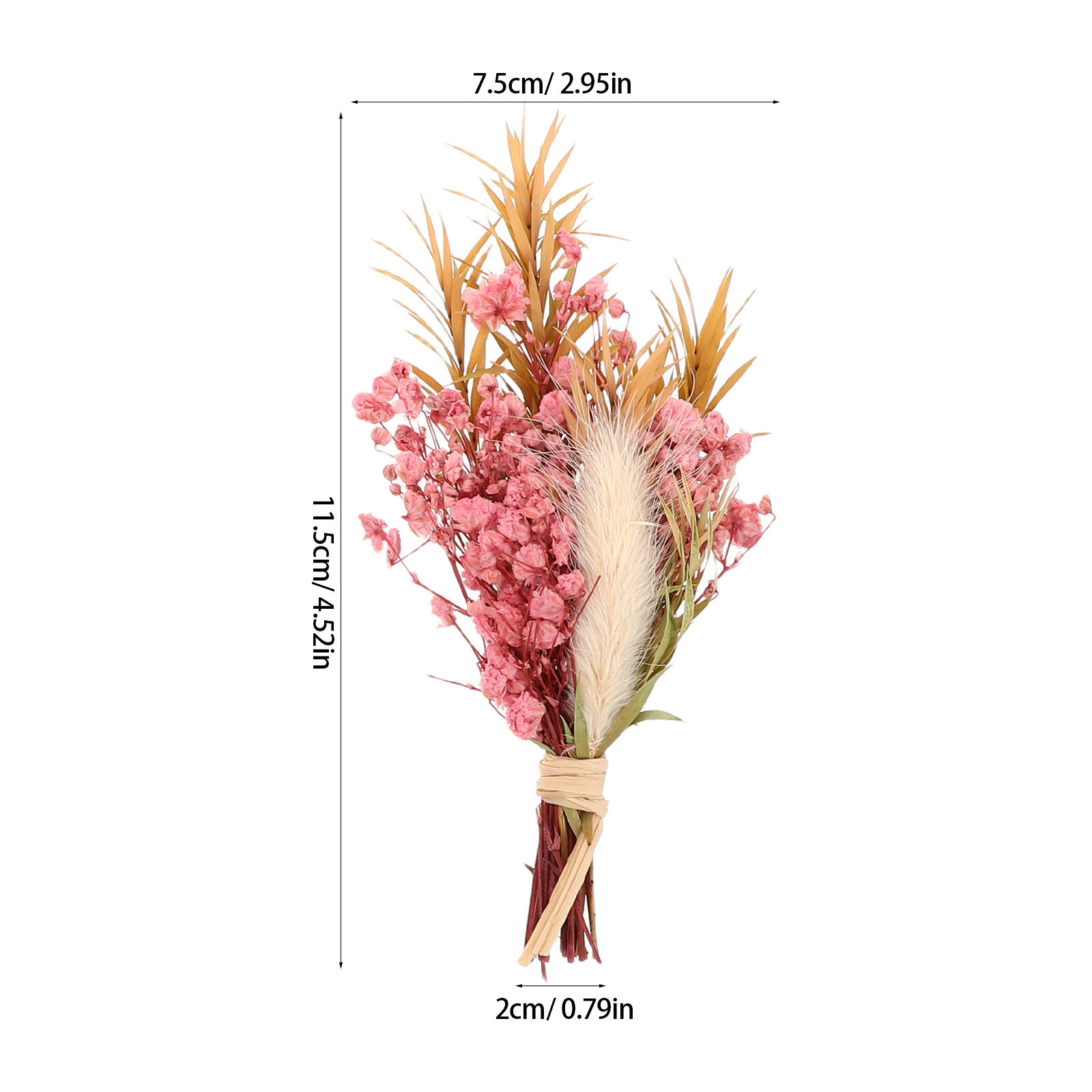3Pcs Mini Dried Floral Bouquet - Dried Flower Pressed 评论和价格