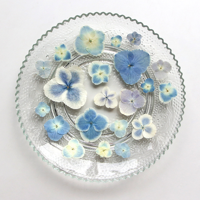 Pressed Dried White Blue Hydra - Resin Art Bookmark 评论和价格