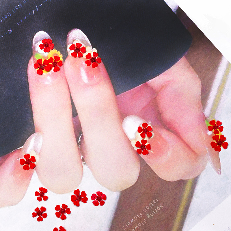 96Pcs Mini 1.5cm Natural Press - Dried Flower Pressed 评论和价格