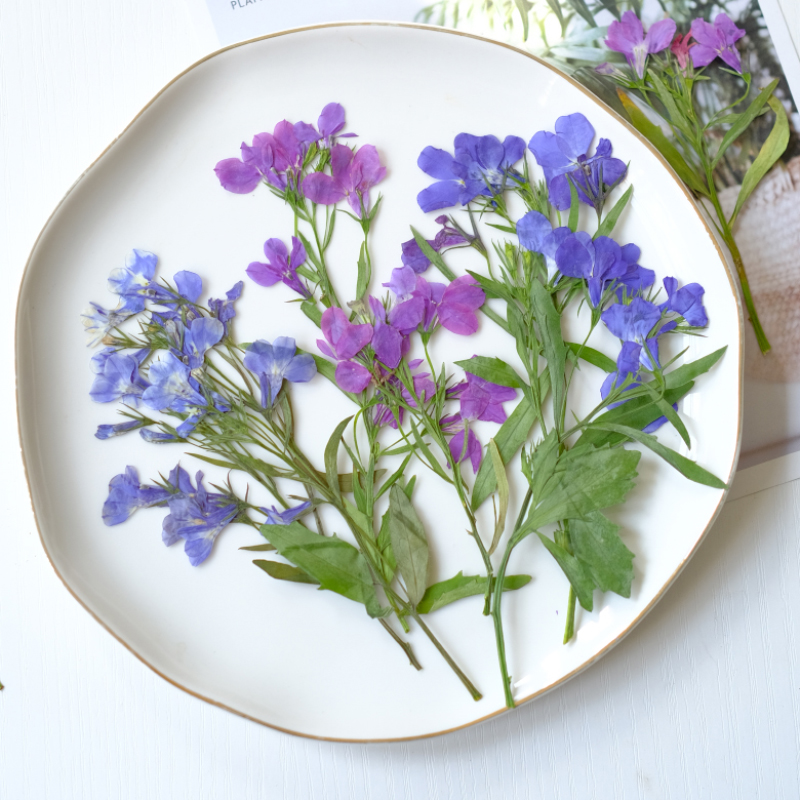 6pcs/8-13cm,nature Lobelia Eri - Resin Art Bookmark 评论和价格
