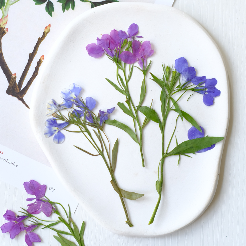 6pcs/8-13cm,nature Lobelia Eri - Resin Art Bookmark 评论和价格