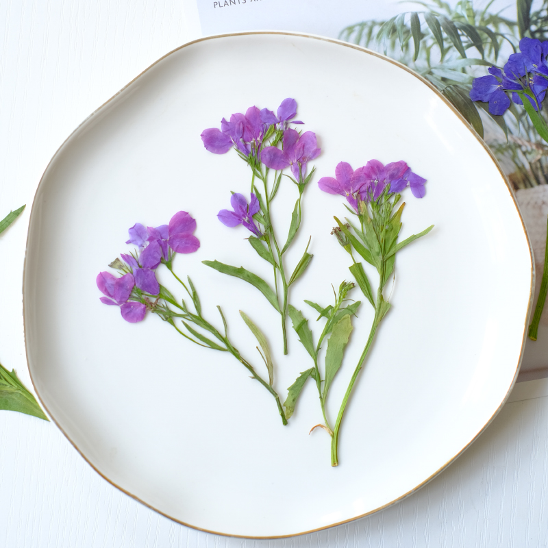 6pcs/8-13cm,nature Lobelia Eri - Resin Art Bookmark 评论和价格