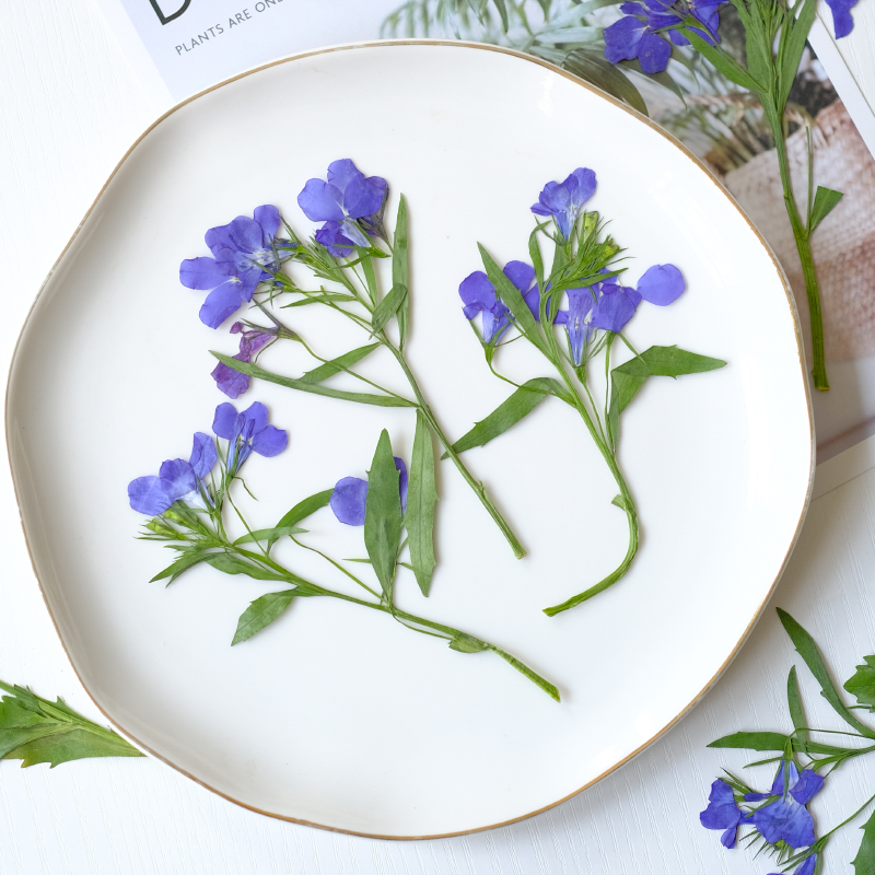 6pcs/8-13cm,nature Lobelia Eri - Resin Art Bookmark 评论和价格