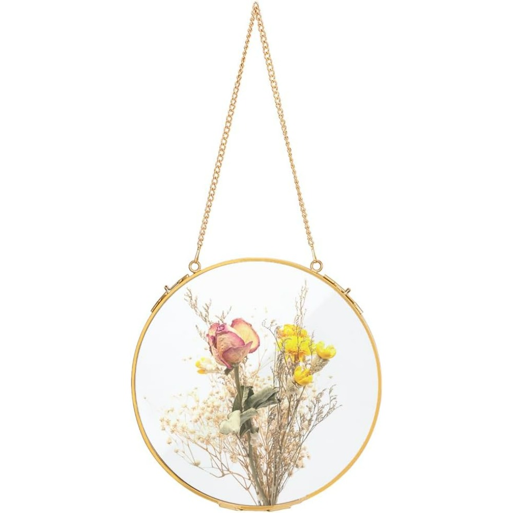1Pcs 7.8 Inches Hanging Glass  - Dried Flower Pressed 评论和价格