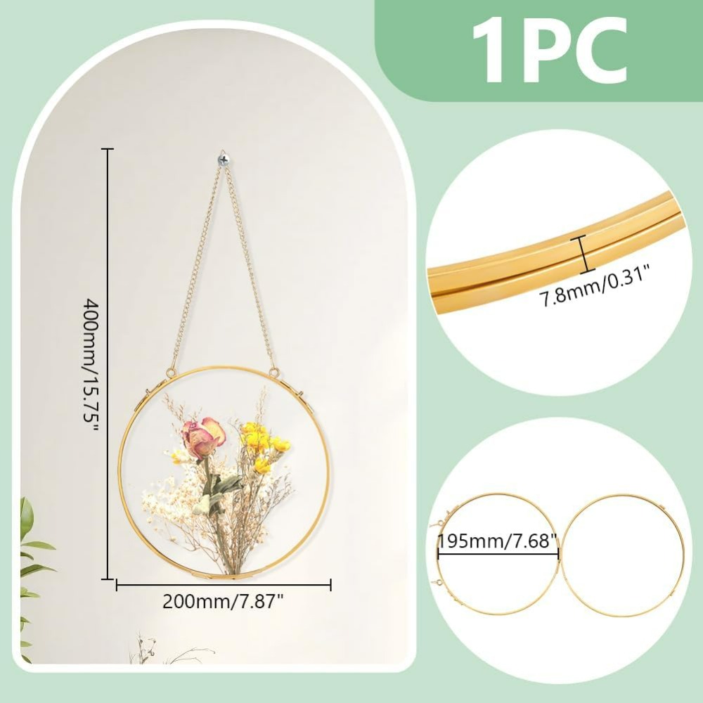 1Pcs 7.8 Inches Hanging Glass  - Dried Flower Pressed 评论和价格