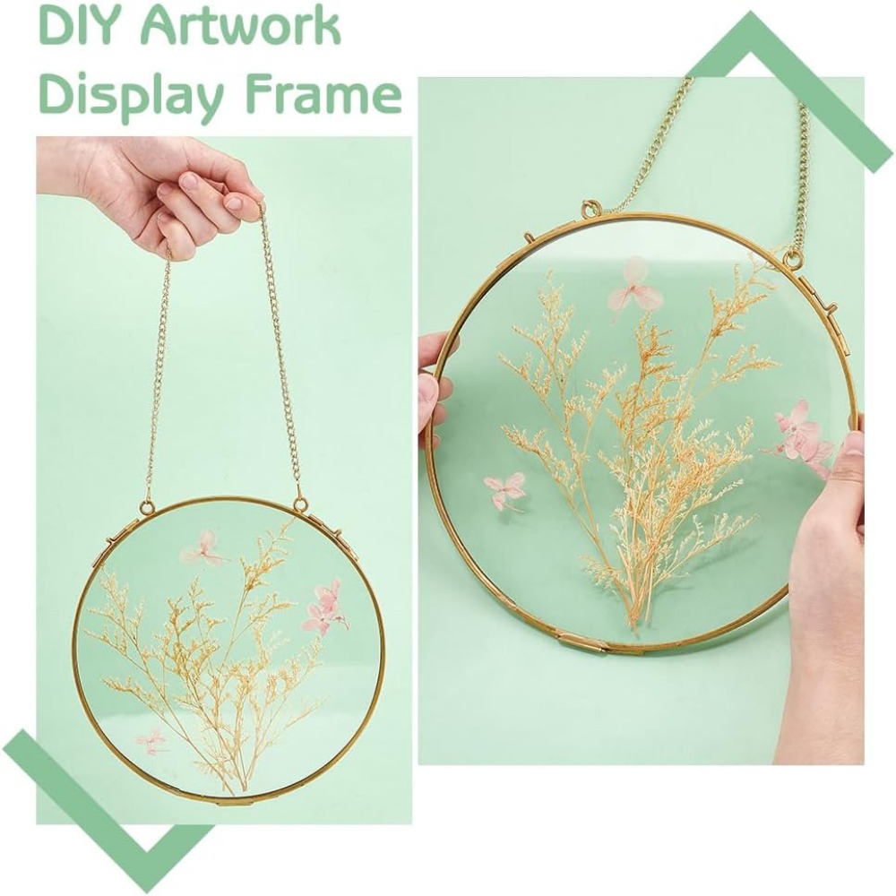 1Pcs 7.8 Inches Hanging Glass  - Dried Flower Pressed 评论和价格