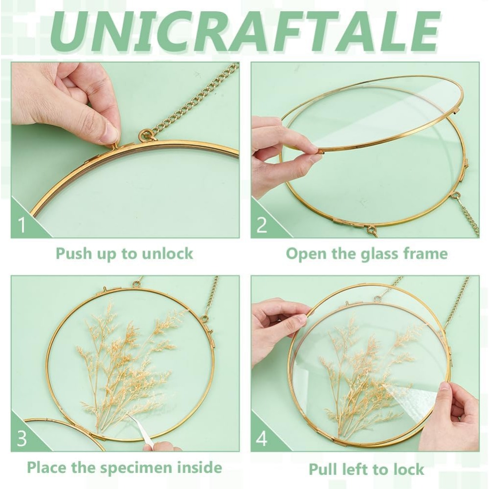 1Pcs 7.8 Inches Hanging Glass  - Dried Flower Pressed 评论和价格