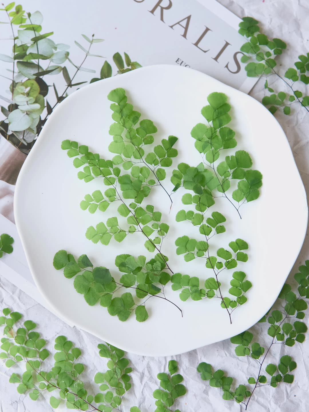 60Pcs Natural Plant Real Flowe - Dried Flower Pressed 评论和价格